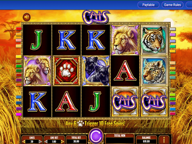 Cats Slot 1