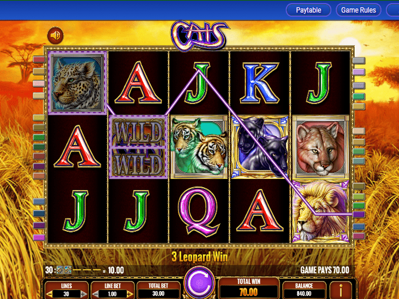 Cats Slot 4