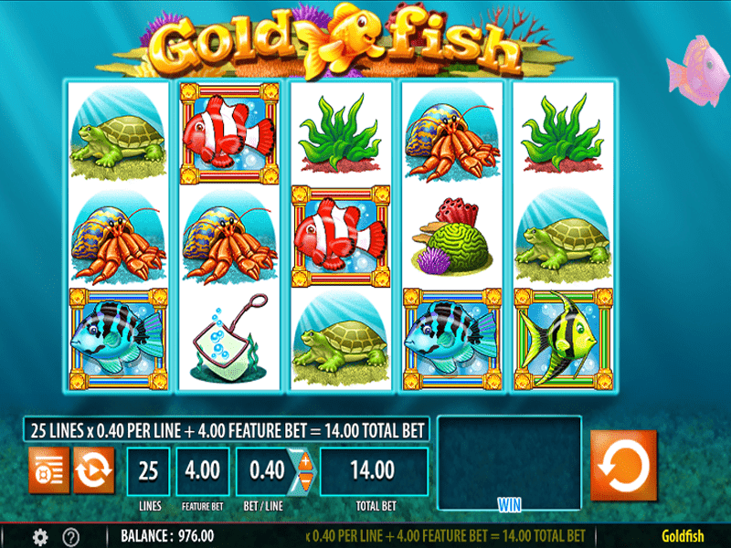 Goldfish Slot 3