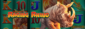 Raging Rhino