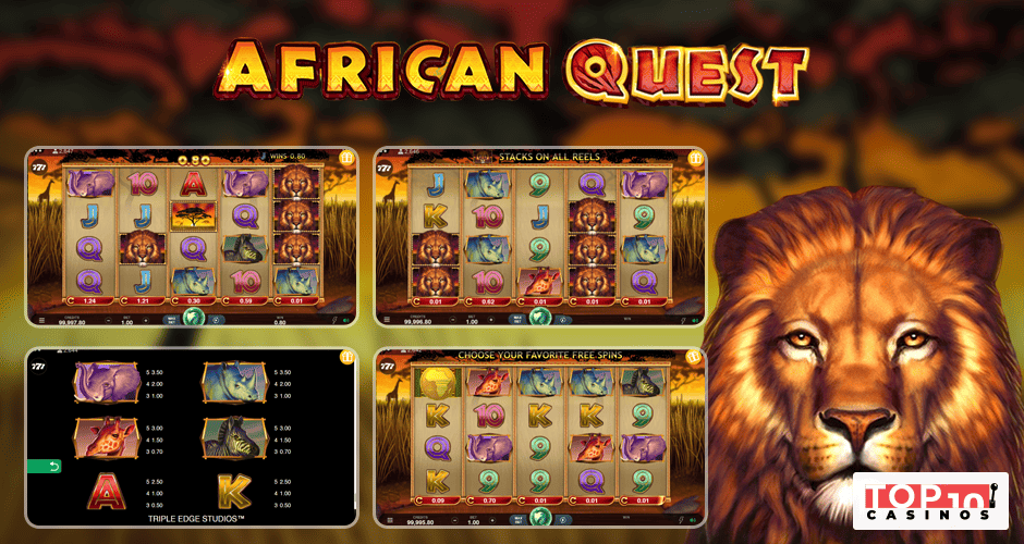 African Quest