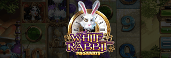 White Rabbit