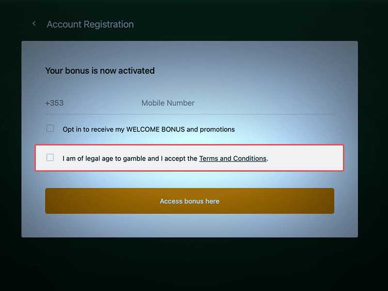 Accept Ts & Cs and Opt-In for Bonuses