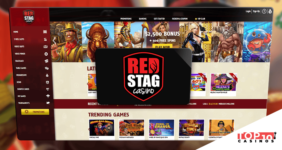 Red Stag Casino