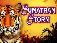 Sumatran Storm