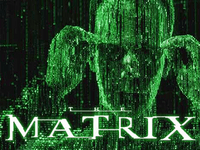 The Matrix