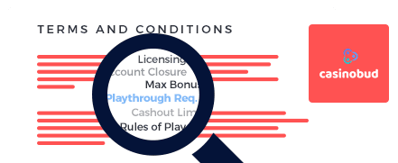 Casinobud Terms