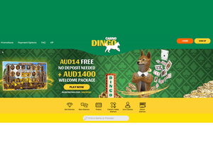 Dingo website screenshot