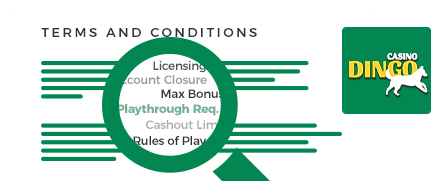 Dingo Casino Terms and Conditions