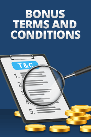 terms and conditions