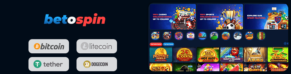 betospin casino banking