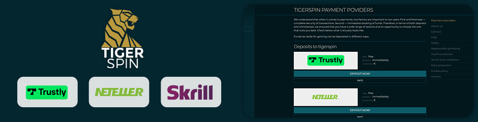TigerSpin Casino banking