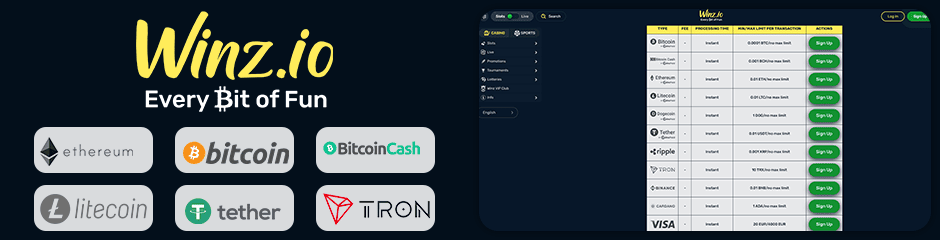 Winz.io Casino banking