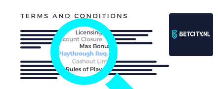 BetCity Casino Terms