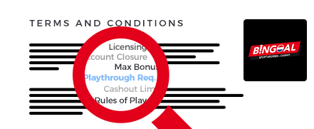 Bingoal Casino Terms