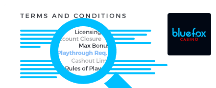 Bluefox Casino Terms