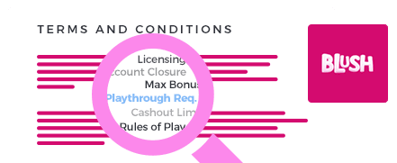 Blush Bingo Casino Terms