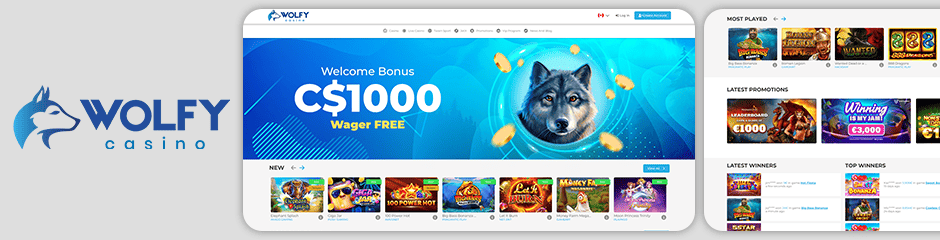 Wolfy Casino Bonuses