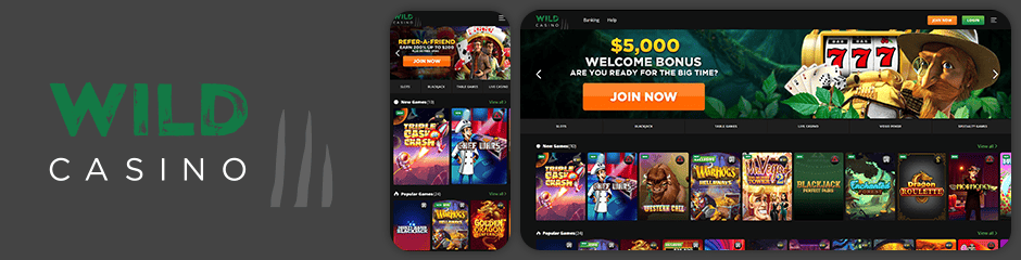 Wild Casino Bonuses