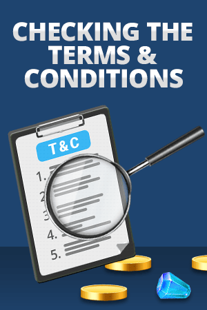 terms and conditions