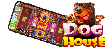 dog house slot 2