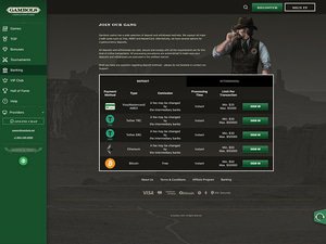 Gambols Casino cashier screenshot