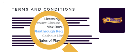 GodBunny Casino Terms