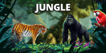 jungle