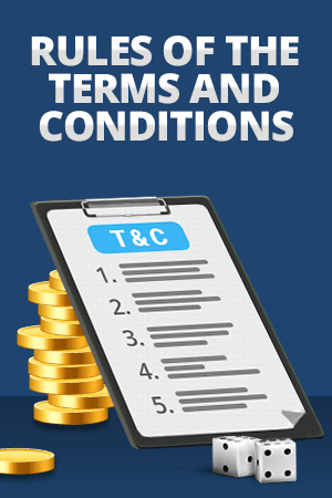 terms and conditions