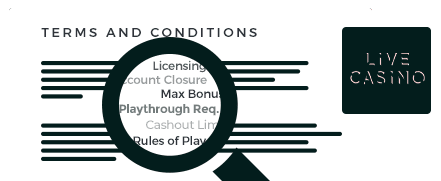 LiveCasino.com Terms