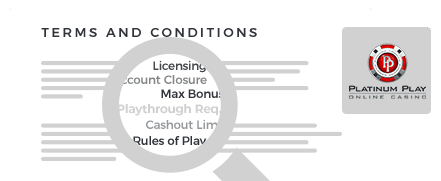 Platinum Play Casino Terms