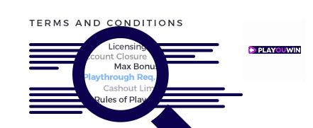 Playouwin Casino Terms