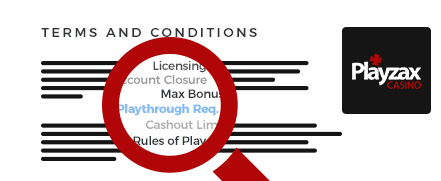 PlayZAX Casino Terms