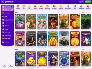 RoboCat Casino software screenshot