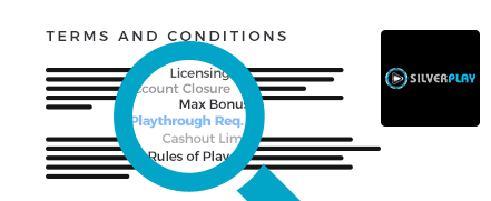 SilverPlay Casino Terms