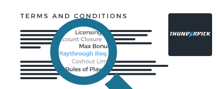 Thunderpick Casino Terms