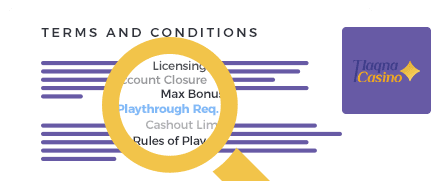 Tlaqna Casino Terms