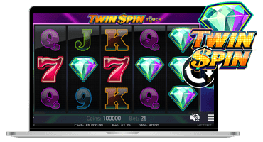 Twin Spin Slot