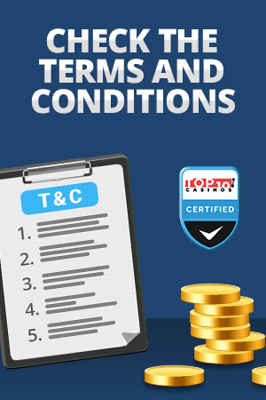 terms and conditions