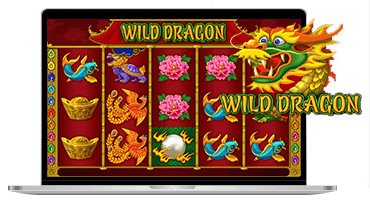 wild dragon slot