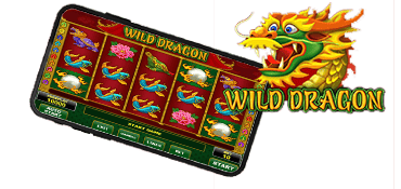 wild dragon slot review