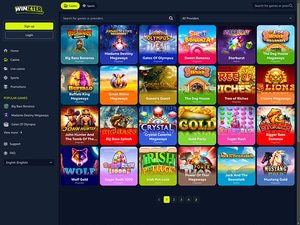 Winzter Casino software screenshot