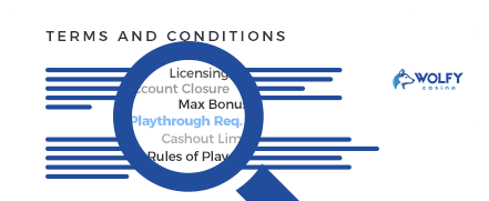 Wolfy Casino Terms