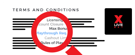 XLiveBet Casino Terms